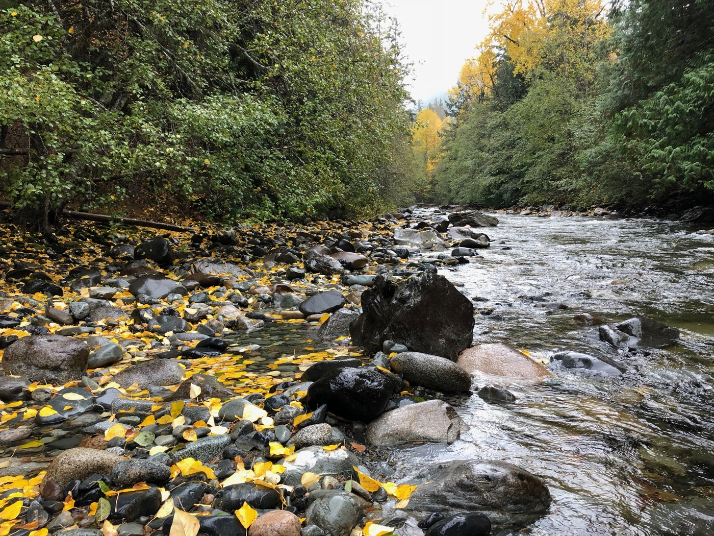 Ruby Creek — Washington Trails Association